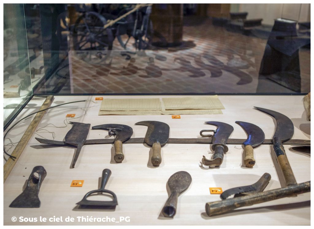 Vitrine d’outils anciens au musée de la vie rurale et forestière de Saint-Michel. On y voit une série de couteaux et serpes à lames courbes, des crochets, de petits outils de coupe et des fers spécialisés, chacun numéroté pour l’inventaire. Les lames sont alignées sur un plateau clair, avec à l’arrière deux registres anciens. Le reflet sur la vitre laisse apparaître d’autres outils exposés dans la salle.