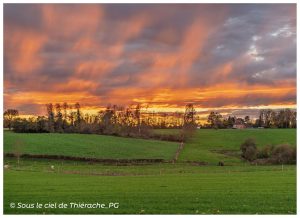 Coucher de soleil intense au-dessus des prairies verdoyantes de Thiérache. Le ciel est chargé de nuages gris et orange, striés de larges traînées lumineuses. À l’horizon, une rangée d’arbres se détache en ombre chinoise et une ferme en brique rouge apparaît à droite. Au premier plan, des vaches paissent dans les pâtures verdoyantes.