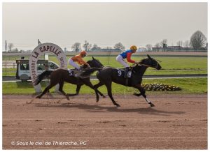 Course hippique à l’hippodrome international de La Capelle en Thiérache. Deux chevaux numérotés 5 et 9 galopent à vive allure sur la piste de sable tandis que leurs jockeys, vêtus de casaques colorées, se disputent la position devant l’arche marquée “Hippodrome La Capelle”.