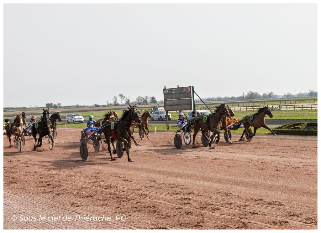 Peloton de chevaux de trot attelé en pleine course à l’hippodrome international de La Capelle en Thiérache. Les drivers, installés dans leurs sulkys et vêtus de casaques colorées, guident leurs chevaux à vive allure sur la piste de sable tandis que le tableau d’affichage apparaît en arrière-plan.