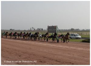 Course de trot attelé à l’hippodrome international de La Capelle en Thiérache. Une longue file de chevaux tirant leurs sulkys progresse sur la piste de sable sous la conduite de leurs drivers aux casaques colorées, avec le tableau d’affichage et les paysages ouverts de Thiérache en arrière-plan.