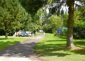 Allée paisible du camping d’Étréaupont en Thiérache, bordée de grands arbres et de pelouses verdoyantes, avec quelques caravanes et camping-cars installés dans un environnement naturel et ombragé.