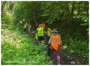 Des bénévoles participant à la marche écocitoyenne de Saint-Michel progressent sur un chemin forestier ombragé au cœur de la Thiérache. Munis de gilets de sécurité, de sacs de collecte et de pinces de ramassage, ils nettoient les abords du sentier afin de préserver la beauté et la propreté de cet environnement naturel. Cette initiative locale témoigne de l'engagement des habitants en faveur de la protection de la nature et du respect des espaces forestiers