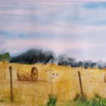 Aquarelle représentant un champ de Thiérache après la moisson, parsemé de bottes de paille rondes derrière une clôture, sous un ciel délicatement teinté de bleu et de rose.